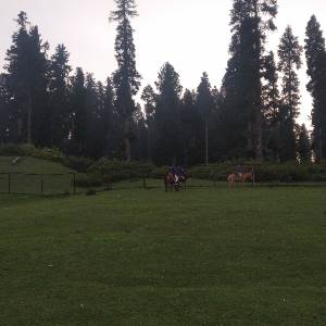 Mir Ubaid